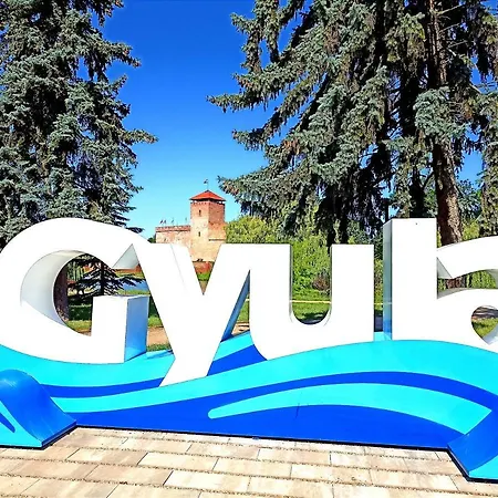 A Vityillo Maganszallashely Gyula
