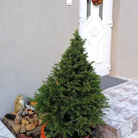 A Vityillo Maganszallashely